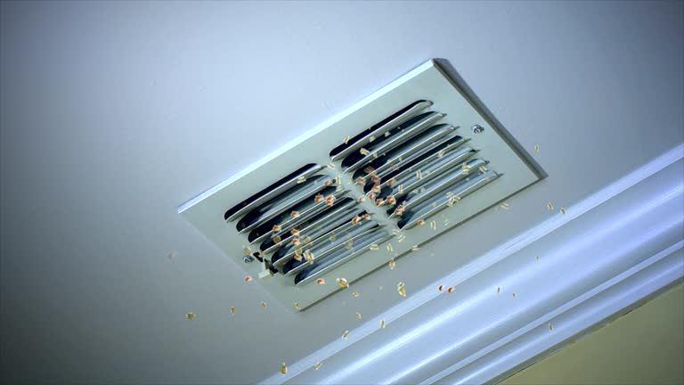 Professional Airduct Cleaning in Pilot Mountain, NC