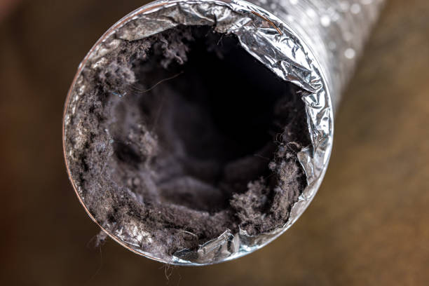 Best HVAC Air Duct Cleaning  in Pilot Mountain, NC